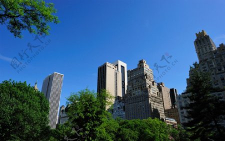 纽约中央公园周围的高楼图片
