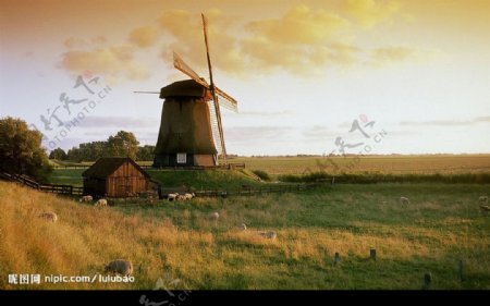 荷兰田园风车图片