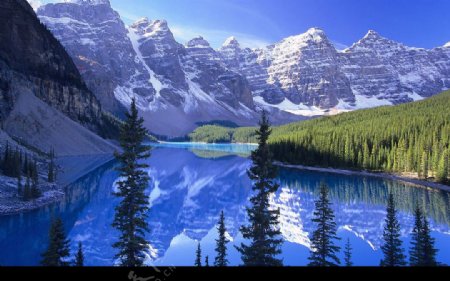 加拿大班芙国家公园梦莲湖图片