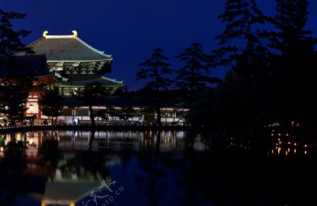 奈良公园的夜景图片