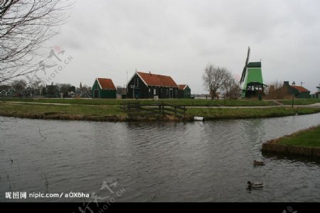 荷蘭風車图片