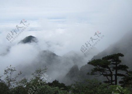 三清山云海图片