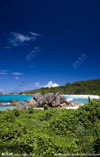 塞舌尔海岛风景图片