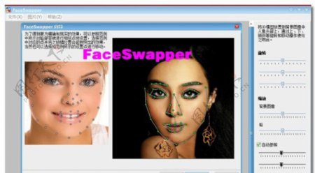 FaceSwapper轻松换脸V11汉化特别版图片