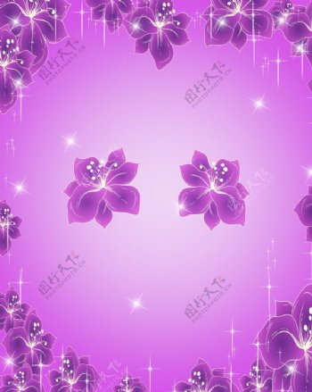 紫色花朵移门图片