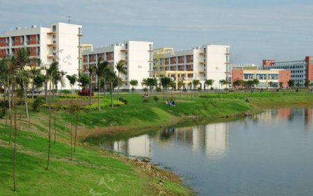 大学城绿化图片