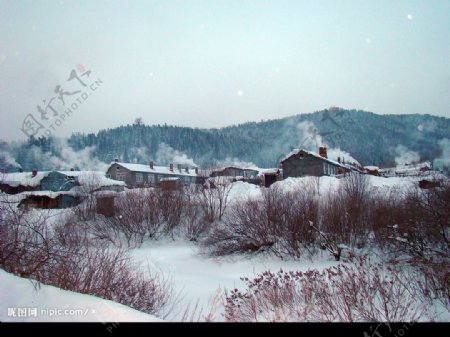 雪乡的晨曦图片