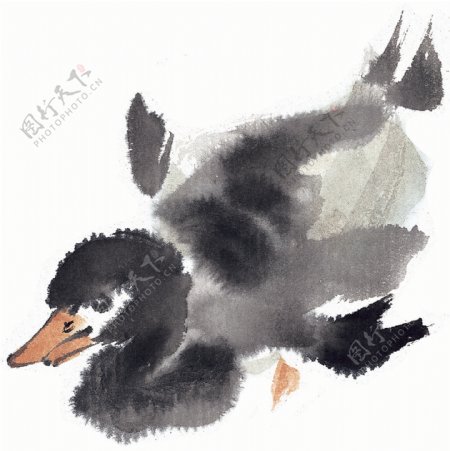 水墨风格的鸭子图片