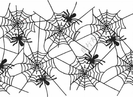 AI矢量蜘蛛蜘蛛网图片