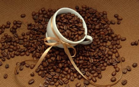 咖啡杯盛满咖啡豆图片