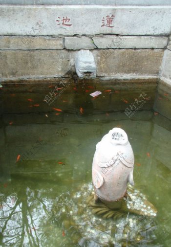 潭柘寺的放生池图片