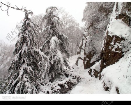 南京紫金山雪韵图片