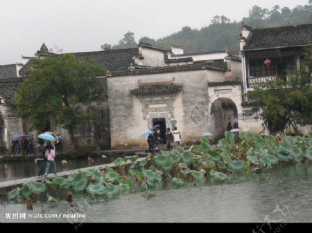 雨季圖片