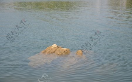 百花湖图片