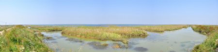 鄱阳湖湿地全景图片