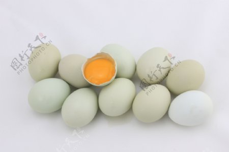 绿皮鸡蛋图片