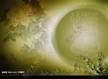 懂爱牡丹背景中国古典风格图片
