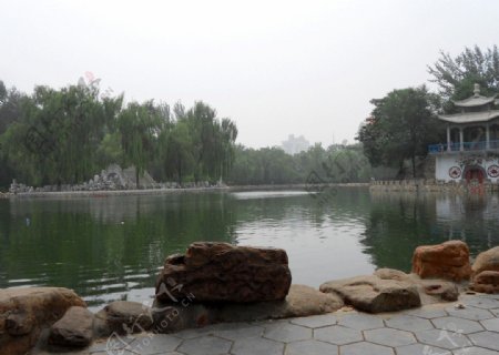 公园池塘图片