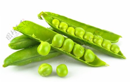 绿色豌豆图片