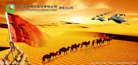 中国人寿海报图片