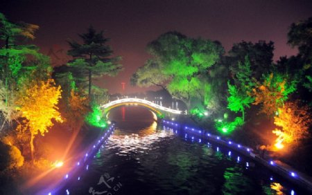 霓虹灯下的桥图片