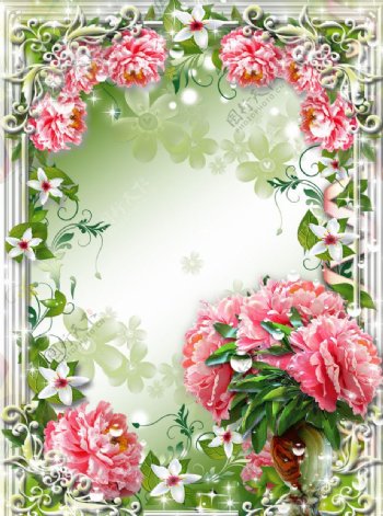 花卉背景相框框架图片