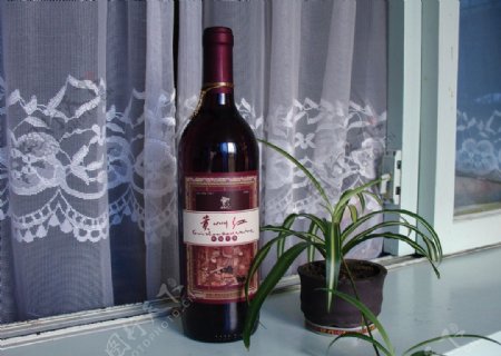 刺梨干红酒图片