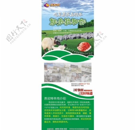 火锅草原羊展架图片
