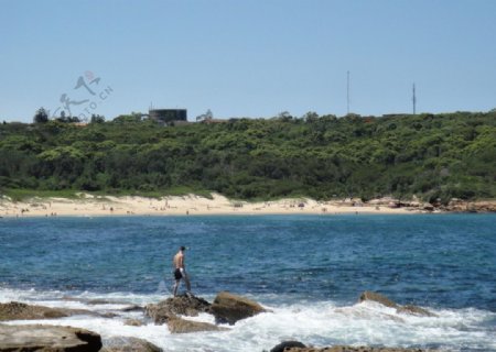 悉尼拉普斯海风光图片