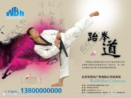 跆拳道广告图片
