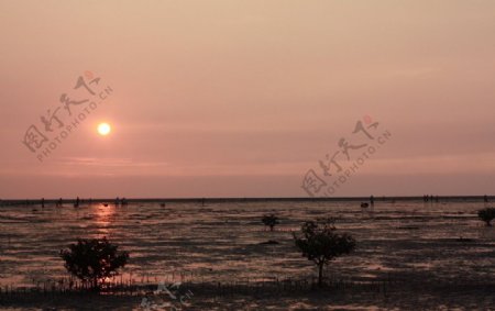 南寮海邊图片