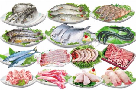 盘装海鱼鲜肉图片