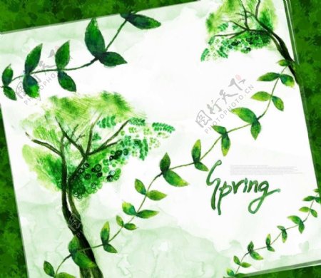 春天绿树背景图片
