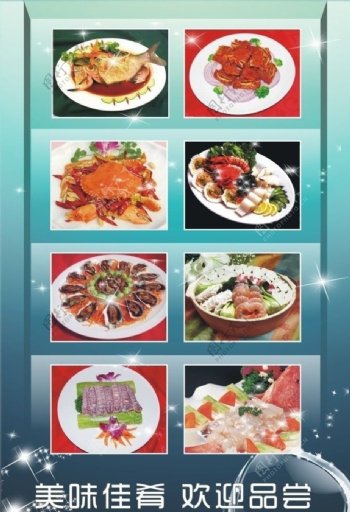 海鲜菜肴图片