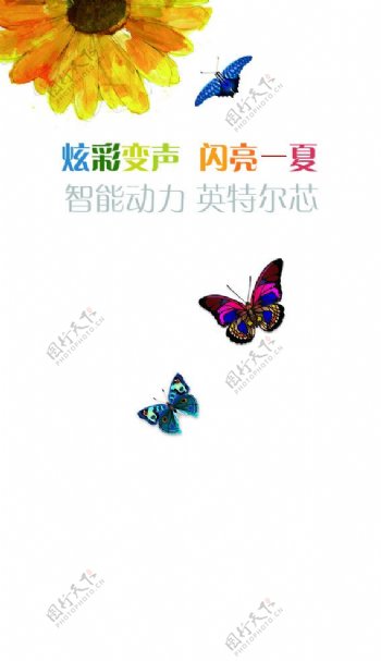 蝴蝶背景图片