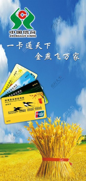 中国信合金燕卡图片