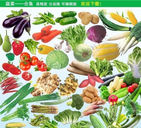 蔬菜合集天然绿色食品蔬菜图片