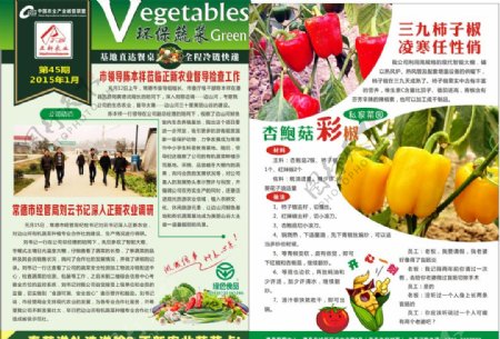正新农业有机生态蔬菜种植期刊图片
