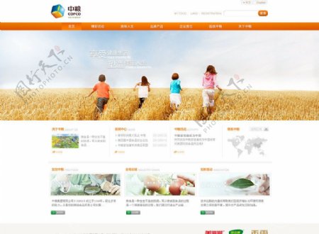 中粮网站设计图片