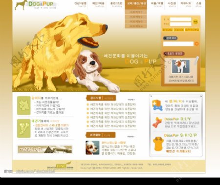 韩国宠物网站网页模板图片