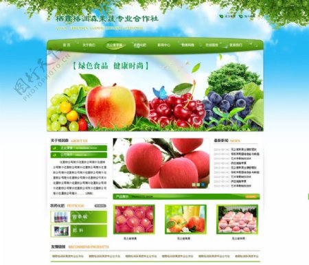 绿色果蔬网站图片