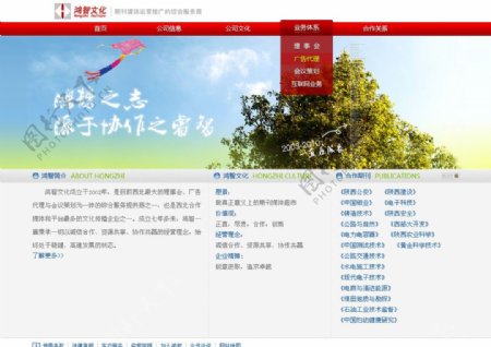 公司网站设计中文模板21图片