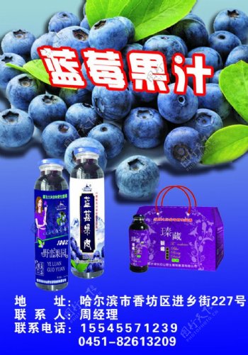 蓝莓果汁彩页图片