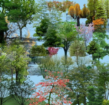 园林景观花草树林鸟瞰透视效果图PSD分层4图片