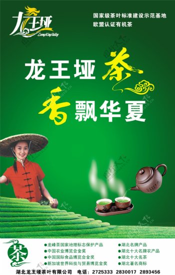 龙王垭茶图片