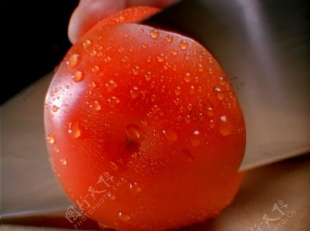 切西红柿过程高清图片