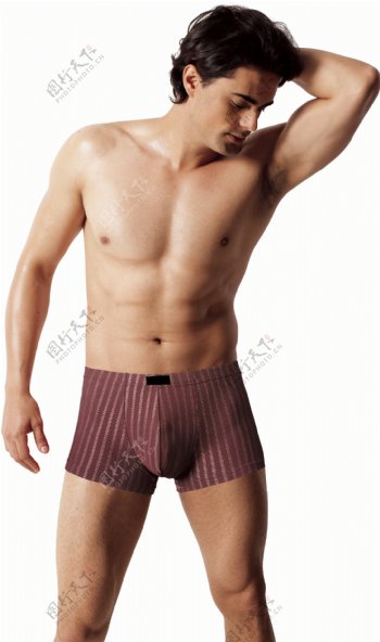 男士内裤模特图片