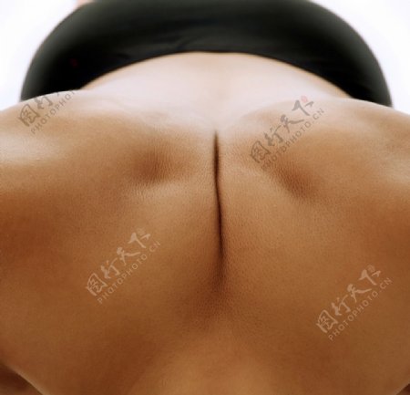 背部肌肉图片