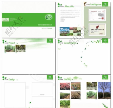 园林绿化公司画册图片