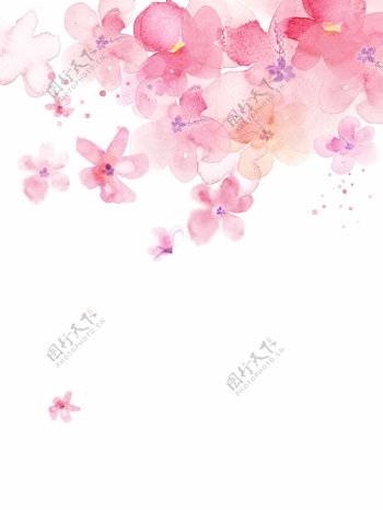 粉色花朵素材图片